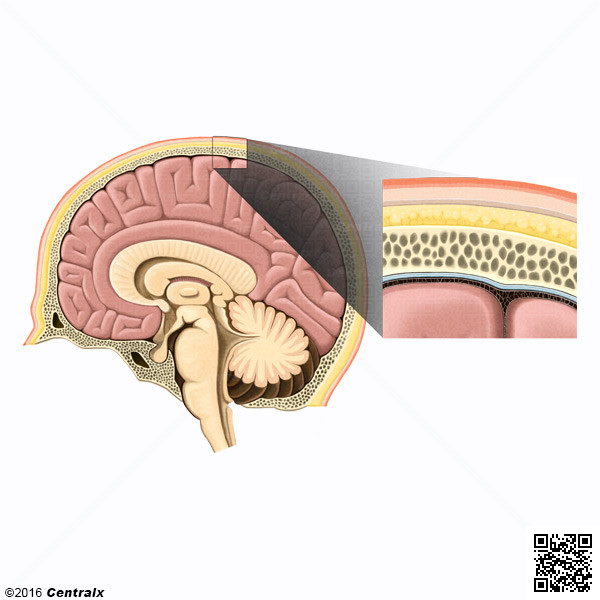 Espacio Epidural