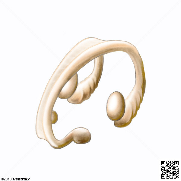 Frnix